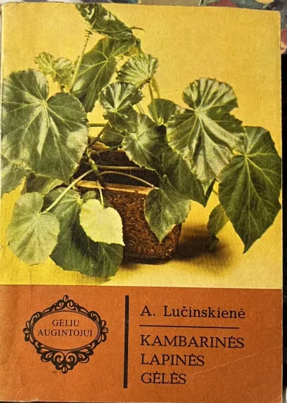 Kambarinės lapinės gėlės