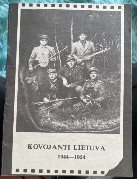 Kovojanti Lietuva - V. Gylys, knyga