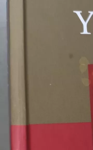 Meilės budelis ir kitos psichoterapinės istorijos - Irvin D. Yalom, knyga 1