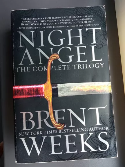 Night Angel: The Complete Trilogy Omnibus - Brent Weeks, knyga 1