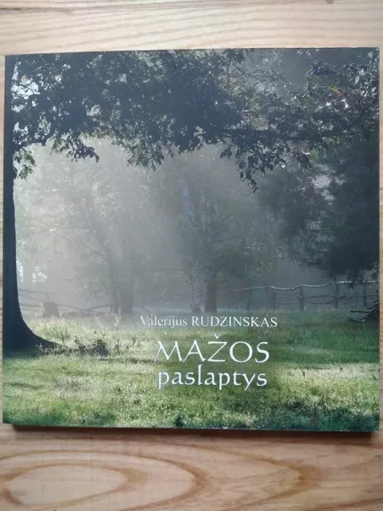 Mažos paslaptys - Jonas Rudzinskas, knyga