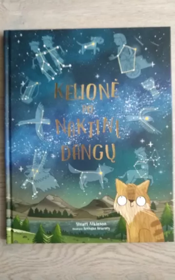 Kelionė po naktinį dangų