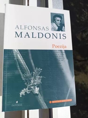 Poezija - Alfonsas Maldonis, knyga 1