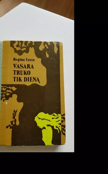 Vasara truko tik dieną - Regina Ezera, knyga 1