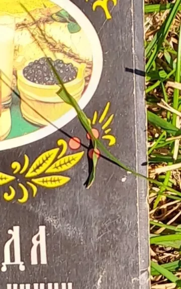 Блюда русской кухни . набор открыток