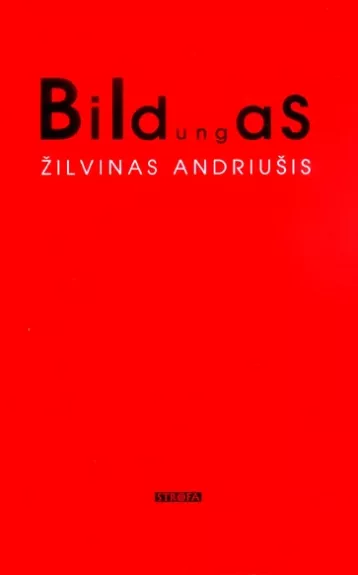 Bildungas & Fragmentai. Onirinio pasaulio mintis