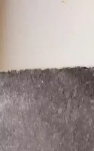 SOS 123 oro eskadrilė