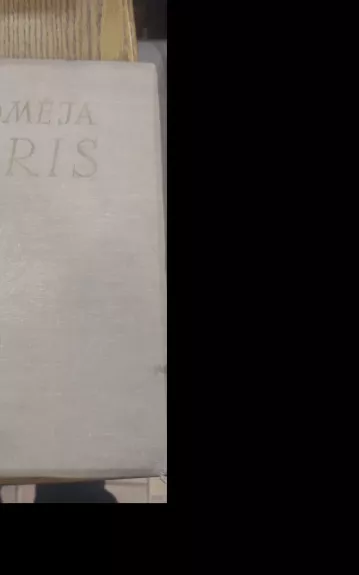 Salomėja Nėris 1904-1945 - K. Vairas-Račkauskas, knyga