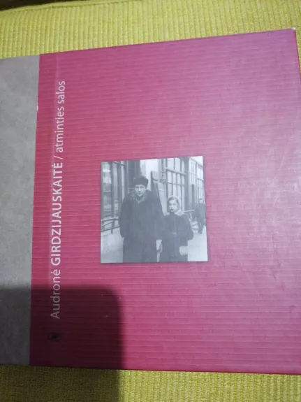 Atminties salos - Audronė Girdzijauskaitė, knyga