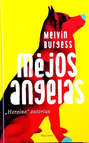 Mėjos angelas - Melvin Burgess, knyga
