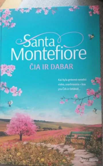 Čia ir dabar - Santa Montefiore, knyga