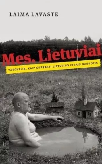 Mes Lietuviai. Vadovėlis, kaip suprasti lietuvius ir jais naudotis - Laima Lavaste, knyga