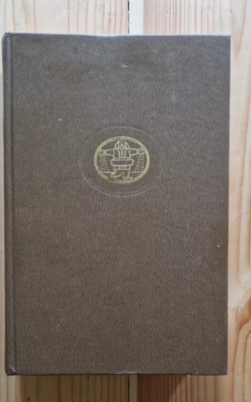 XX a. rytų proza - Autorių Kolektyvas, knyga