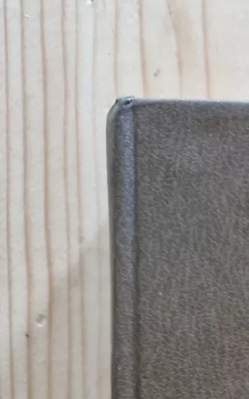 Rolando giesmė. Nibelungų giesmė