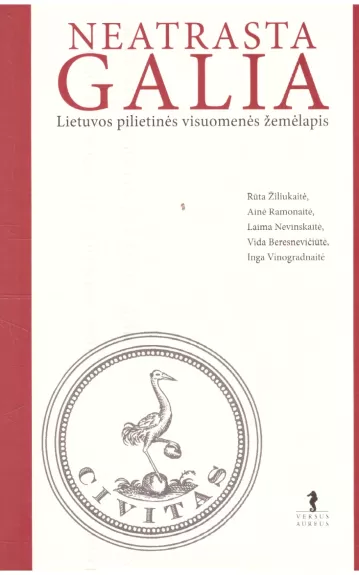 Neatrasta galia: Lietuvos pilietinės visuomenės žemėlapis - Ainė Ramonaitė, knyga