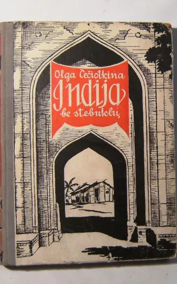 Indija be stebuklų - Olga Čečiotkina, knyga