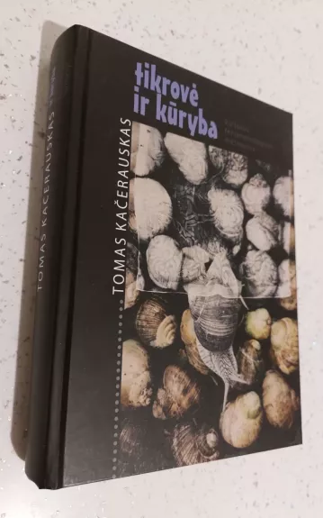 Tikrovė ir kūryba: kultūros fenomenologijos metmenys - Tomas Kačerauskas, knyga