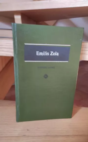 Moterų laimė - Emilis Zola, knyga