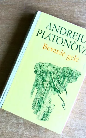 Bevardė gėlė - Andrejus Platonovas, knyga