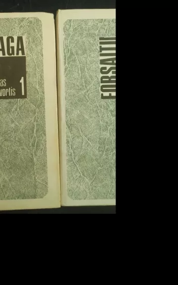 Forsaitų saga (2 tomai)