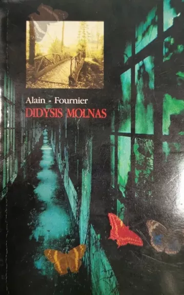 Didysis molnas - Alain Fournier, knyga