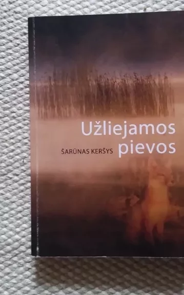 Užliejamos pievos