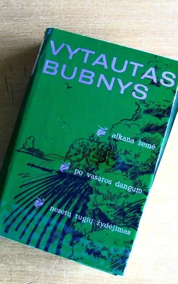 Alkana žemė. Po vasaros dangum. Nesėtų rugių žydėjimas