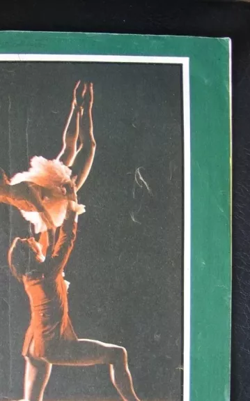 Jaunimo gretos 1973m. Nr.12