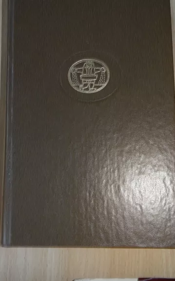 Apsakymai. Kam skambina varpai - Ernestas Hemingvėjus, knyga