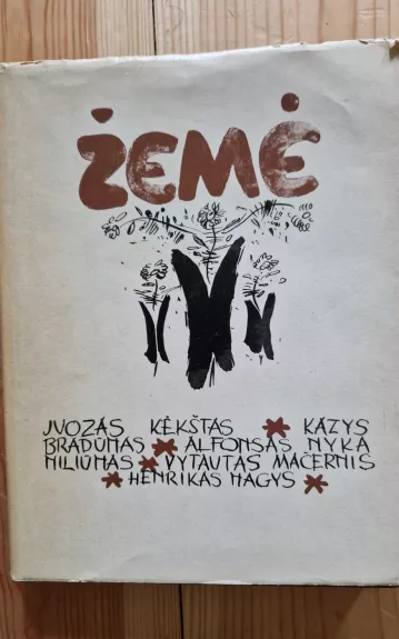 Žemė (naujosios lietuvių poezijos antologija) - Autorių Kolektyvas, knyga