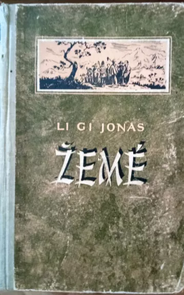 Žemė