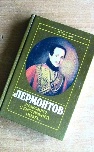 Лермонтов знакомясь с биографией поэта