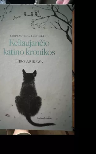 Keliaujančio katino kronikos - Hiro Arikawa, knyga