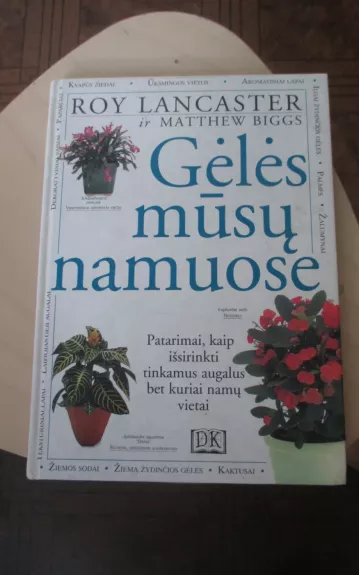 Gėlės mūsų namuose