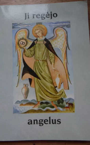 Ji regėjo angelus - Gabrielė Biterlich, knyga