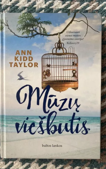 Mūzų viešbutis - Ann Kidd Taylor, knyga