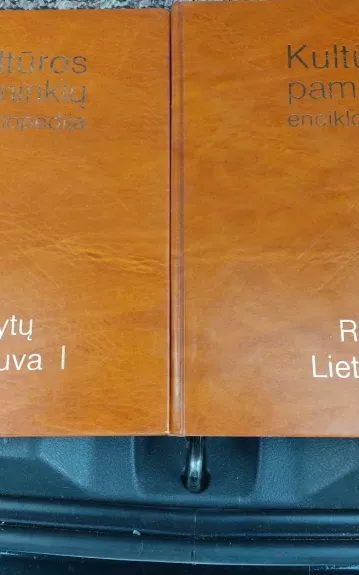 Kultūros paminklų enciklopedija. Rytų Lietuva II