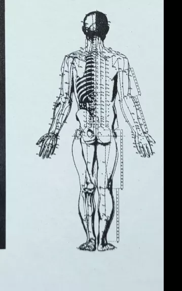 Praktinė akupunktūra