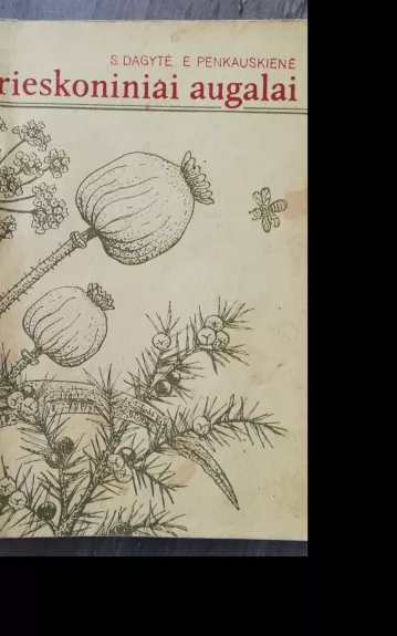 Prieskoniniai augalai