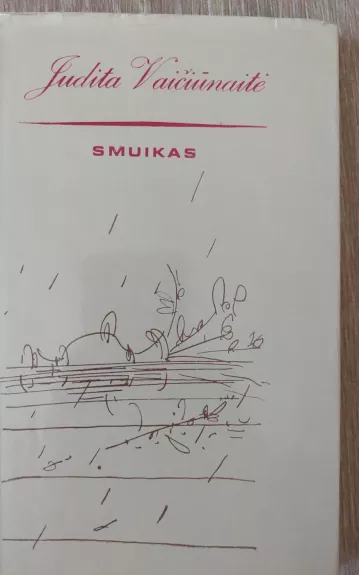 Smuikas - Judita Vaičiūnaitė, knyga