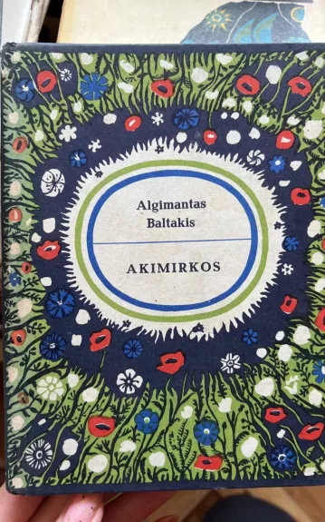 Akimirkos - Algimantas Baltakis, knyga
