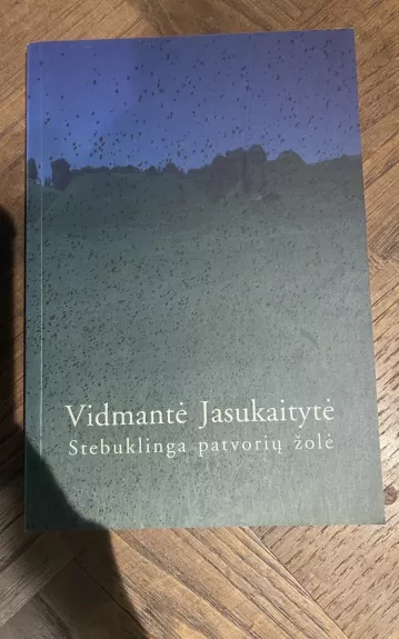 Stebuklinga patvorių žolė