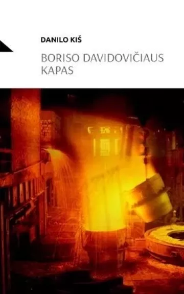 Boriso Davidovičiaus kapas - Kiš Danilo, knyga