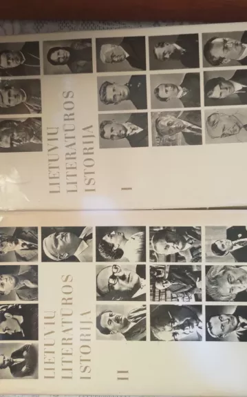 Lietuvių literatūros istorija (II tomai)