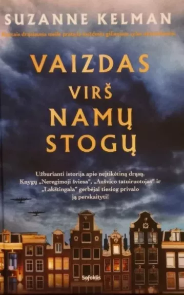 Vaizdas virš namų stogų