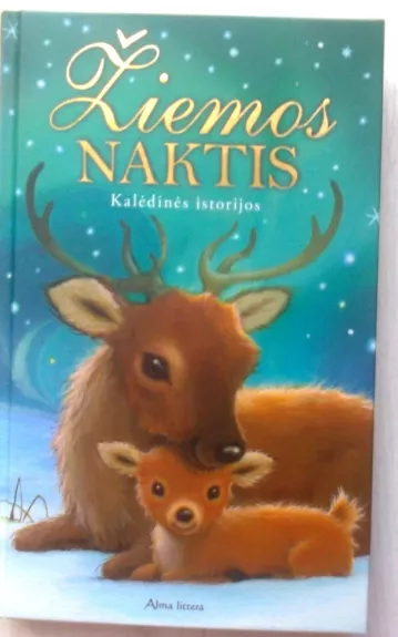 Žiemos naktis