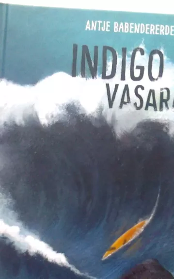 Indigo vasara - Antje Babendererde, knyga