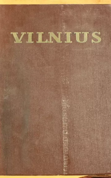 Vilnius iki XX amžiaus pradžios