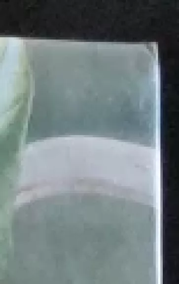 Sveikos mitybos vadovas