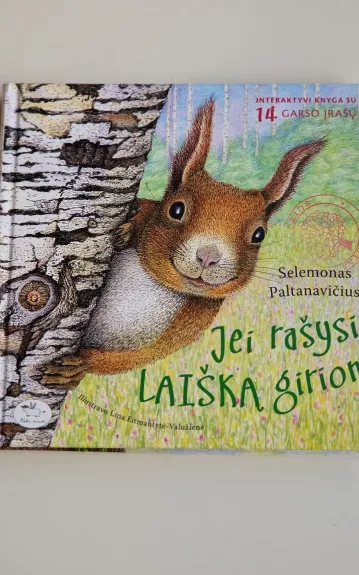 Jei rašysi laišką girion - Selemonas Paltanavičius, knyga